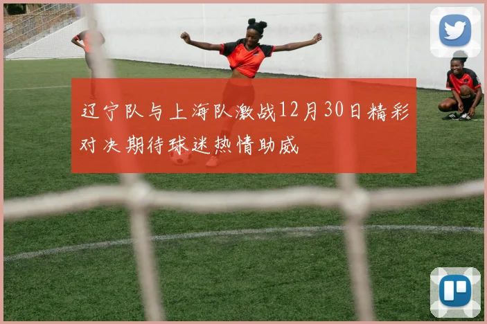 辽宁队与上海队激战12月30日精彩对决期待球迷热情助威