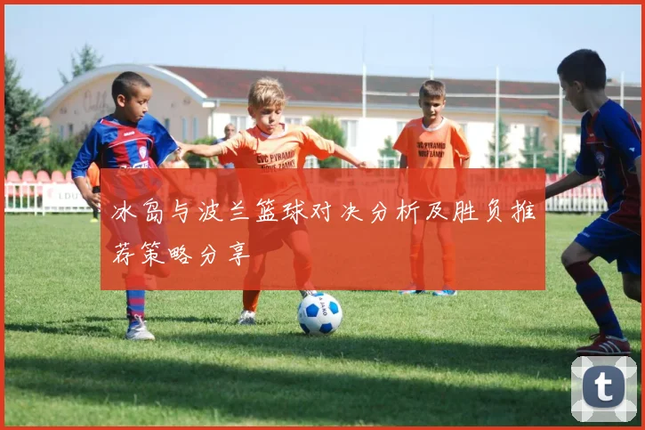 冰岛与波兰篮球对决分析及胜负推荐策略分享