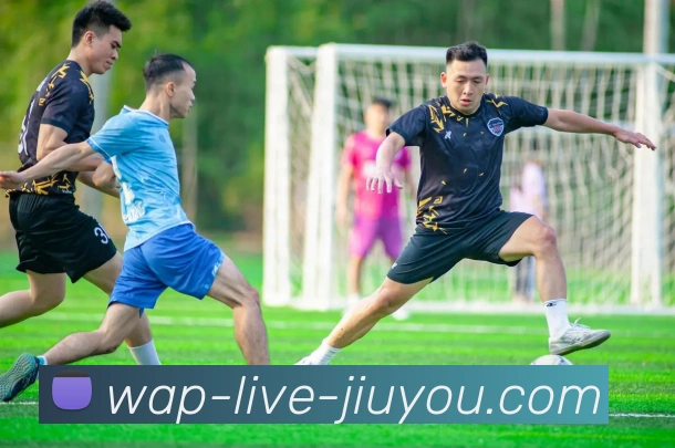 九游体育APP 封面图